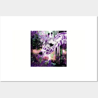 GIRAFFE ENCOUNTER IN PURPLE VIOLET AND WHITE Posters and Art